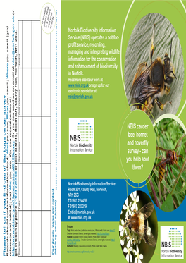 NBIS Carder Bee, Hornet and Hoverfly Survey