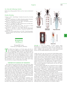 Isoptera Book Chapter