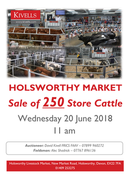 Sale of 250 Store Cattle