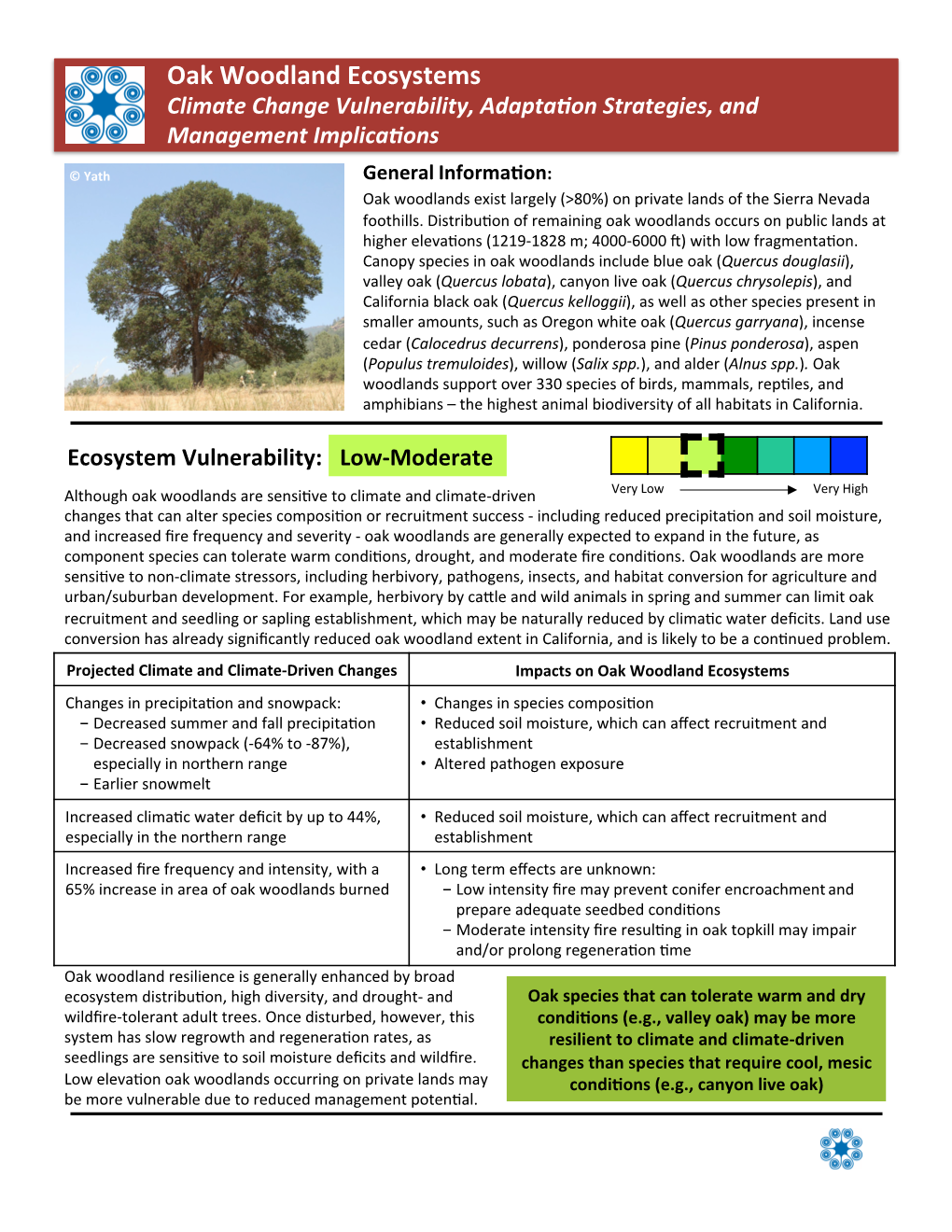 Oak Woodland Ecosystems Climate Change Vulnerability, Adapta�On Strategies, and Management Implica�Ons