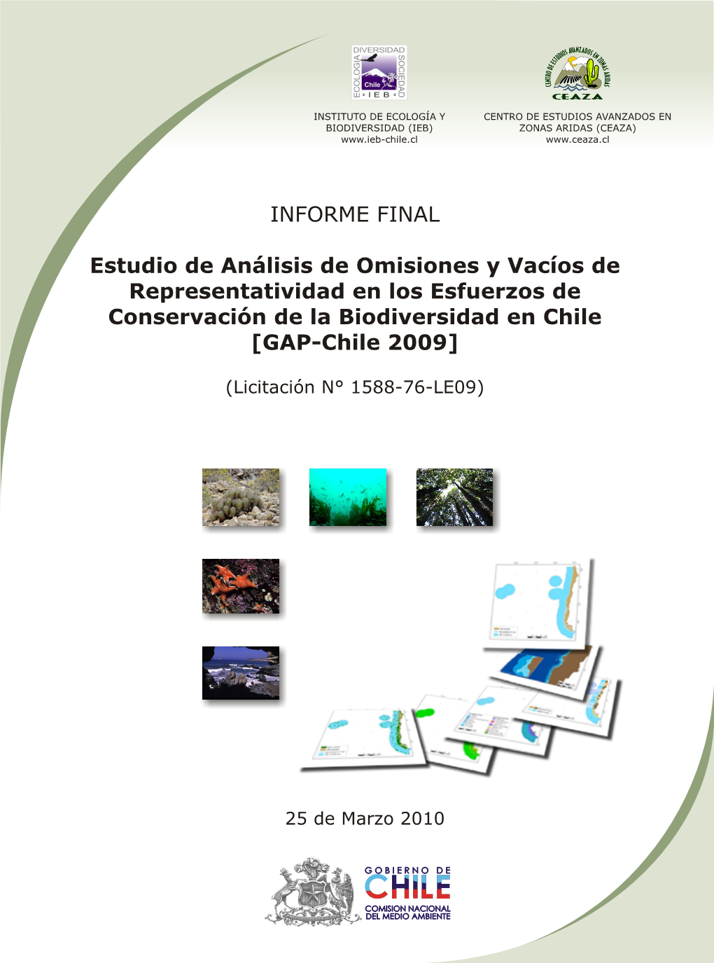 082.Informe Final GAP-Chile 2010-03-25.Pdf