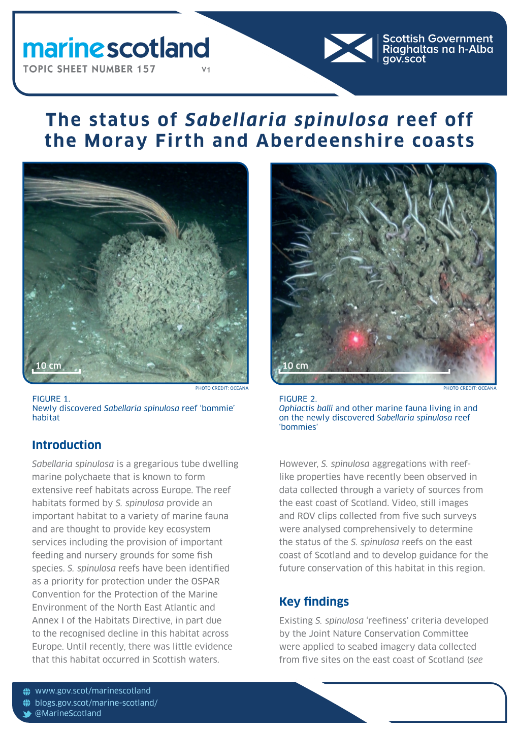 The Status of Sabellaria Spinulosa Reef Off the Moray Firth and Aberdeenshire Coasts