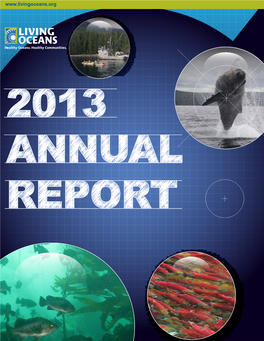 2013 ANNUAL REPORT Shaun White