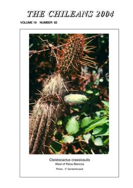 Cleistocactus Crassicaulis West of Palos Blancos Photo