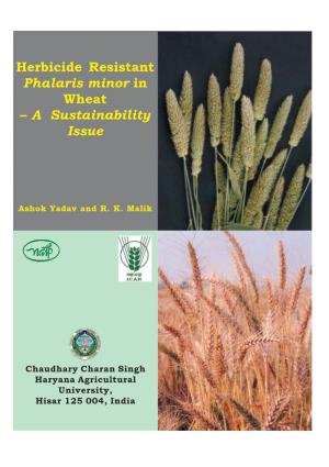 Herbicide Resistant Phalaris Minor in Wheat – a Sustainability Issue