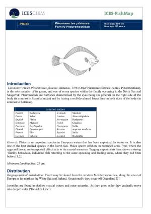 ICES Fishmap Species Factsheet-Plaice