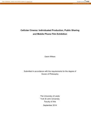 Individuated Production, Public Sharing and Mobile Phone Film