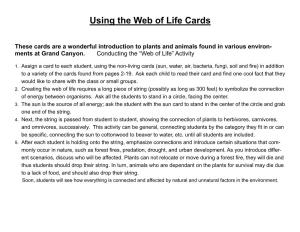 Using the Web of Life Cards