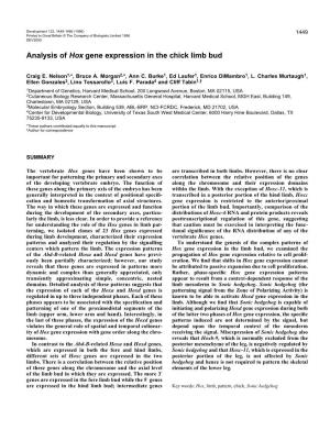 Analysis of Hox Gene Expression in the Chick Limb Bud
