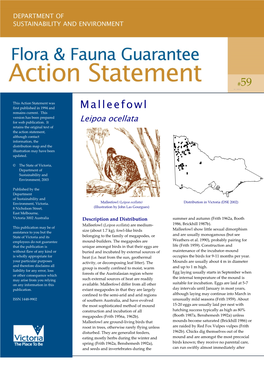 Malleefowl (Leipoa Ocellata) Distribution in Victoria (DSE 2002) Environment, Victoria