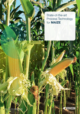 State-Of-The-Art Process Technology for MAIZE