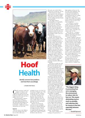 Hoof Health — Whether the Weather Veterinary Services at Simplot Only One Or Maybe No Cases of for Trauma to the Feet and Pastures Are Wet Or Dry