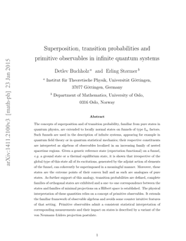 Superposition, Transition Probabilities and Primitive Observables in Infinite
