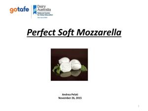 Perfect Soft Mozzarella