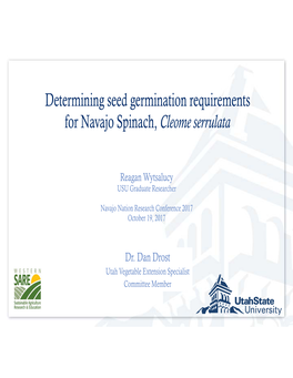 Determining Seed Germination Requirements for Navajo Spinach, Cleome Serrulata
