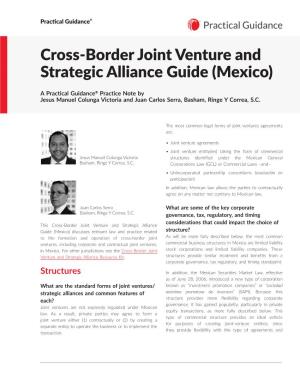 Cross-Border Joint Venture and Strategic Alliance Guide (Mexico)
