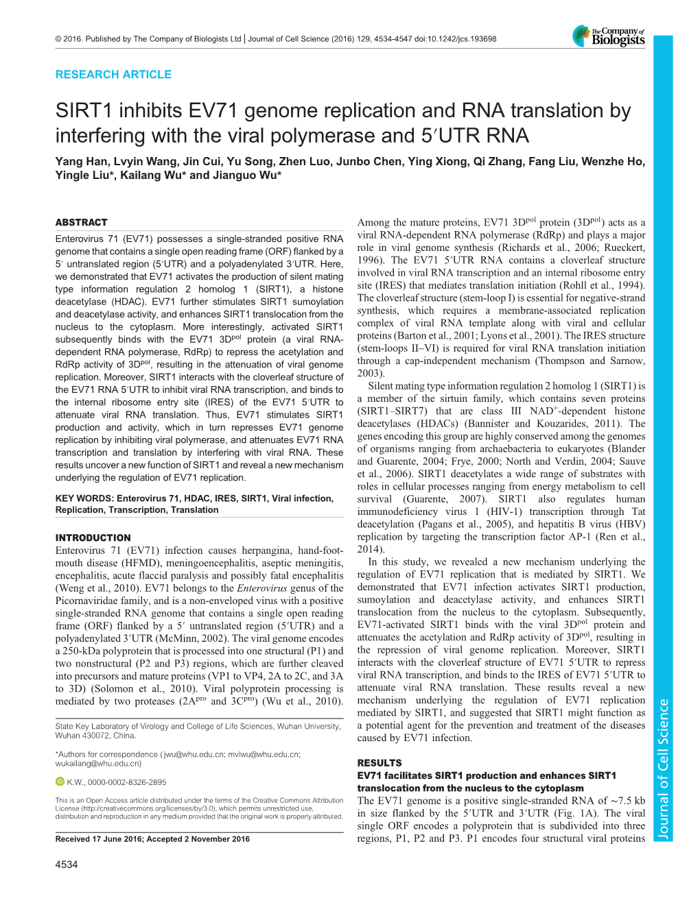 SIRT1 Inhibits EV71 Genome Replication and RNA Translation By