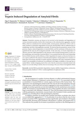 Trypsin Induced Degradation of Amyloid Fibrils
