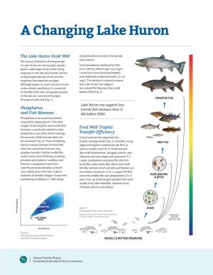 A Changing Lake Huron