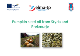 Pumpkin Seed Oil from Styria and Prekmurje.Pptx