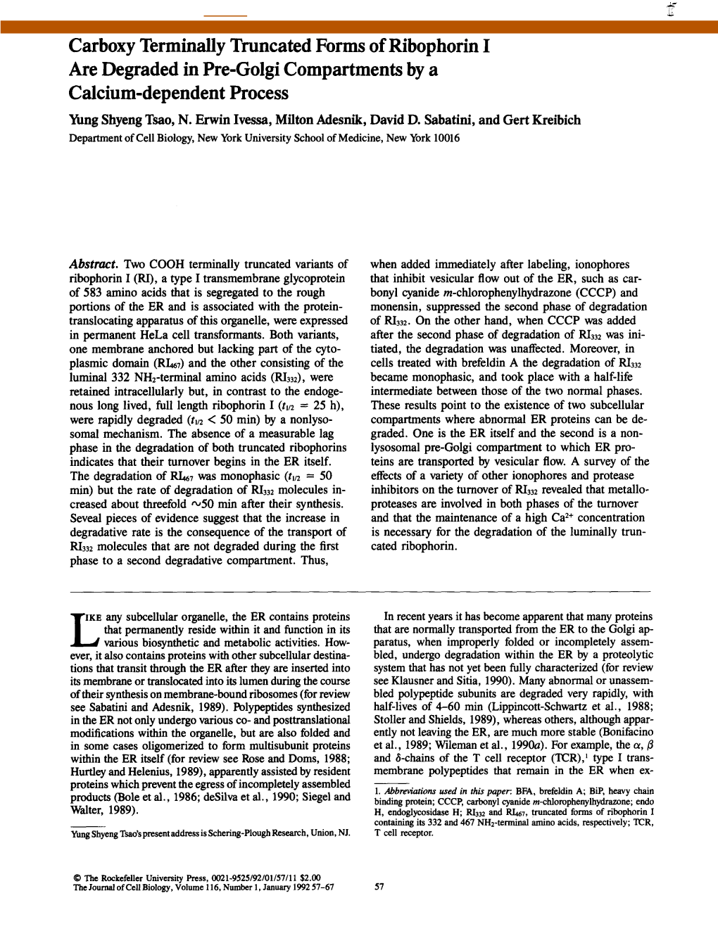 Carboxy Terminally Truncated Forms of Ribophorin I Are Degraded in Pre-Golgi Compartments by a Calcium-Dependent Process Yung Shyeng Tsao, N