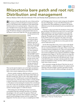 Rhizoctonia Bare Patch and Root Rot: Distribution and Management Patricia Okubara USDA-ARS, Kurt Schroeder WSU, and Timothy Paulitz (Paulitz@Wsu.Edu) USDA-ARS