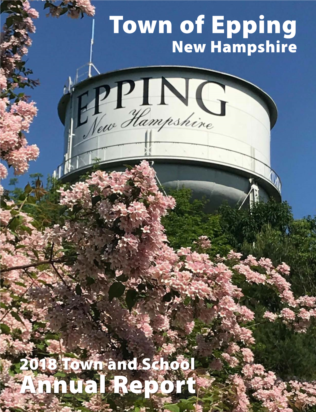Town of Epping Annual Report