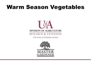 Warm Season Vegetables Fabaceae - the Bean Family the Bean Family