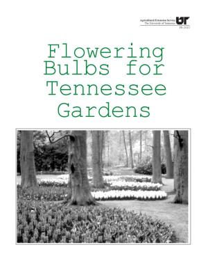 Flowering Bulbs for Tennessee Gardens