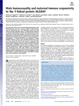 Male Homosexuality and Maternal Immune Responsivity to the Y-Linked Protein NLGN4Y