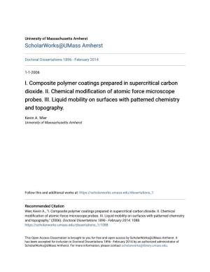 I. Composite Polymer Coatings Prepared in Supercritical Carbon Dioxide