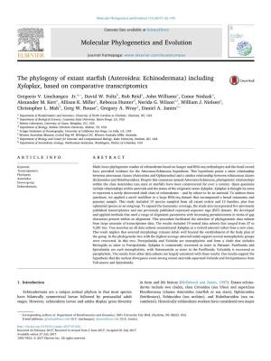 The Phylogeny of Extant Starfish (Asteroidea Echinodermata)