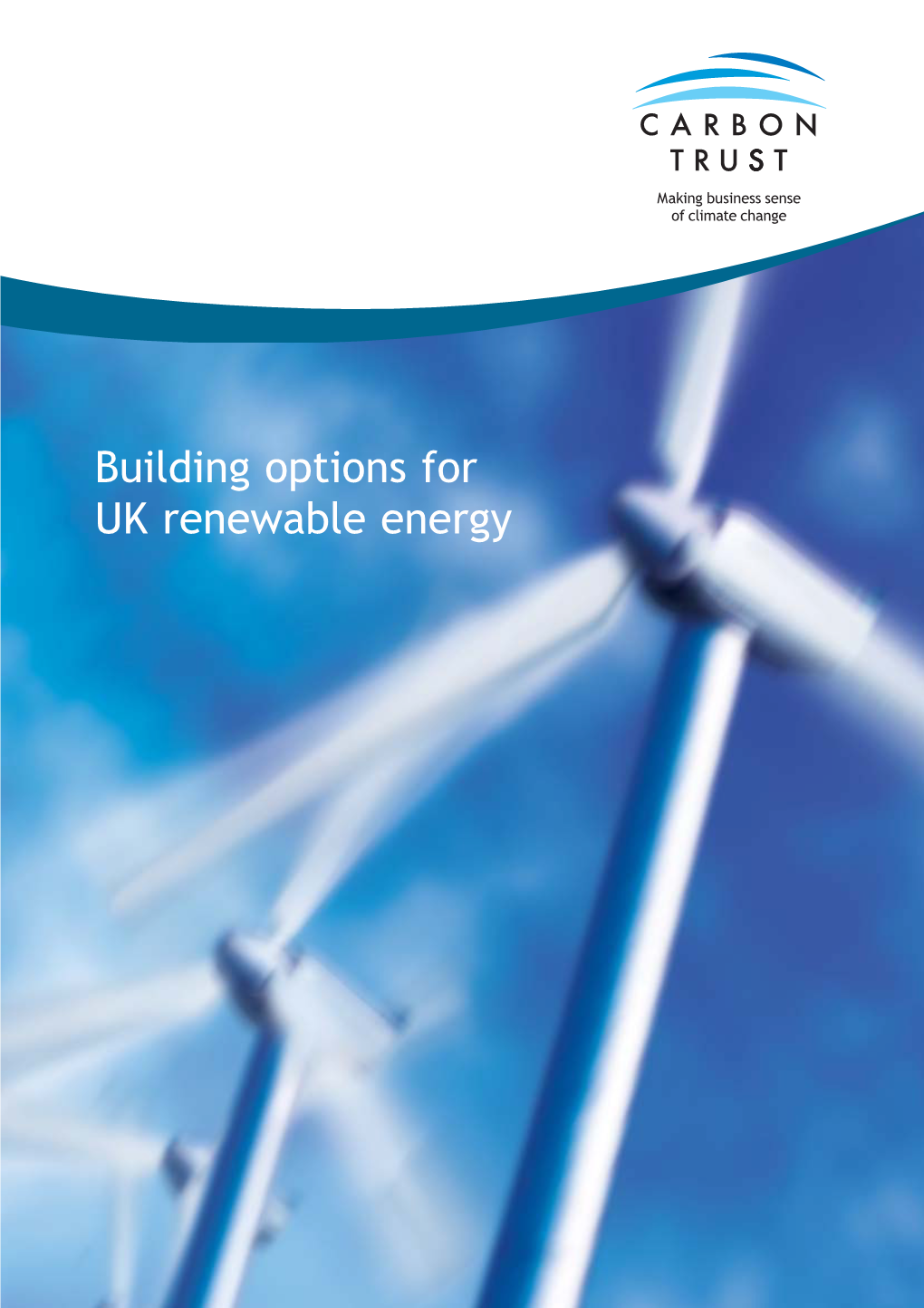 Building Options for UK Renewable Energy Executive Summary