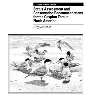 Status Assessment and Conservation Recommendations for the Caspian Tern in North America August 2002 Recommended Citation