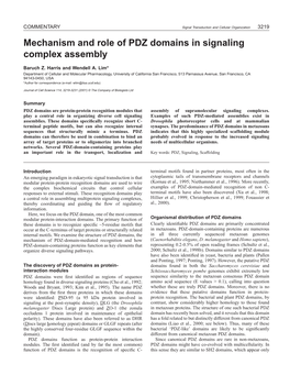 Mechanism and Role of PDZ Domains in Signaling Complex Assembly