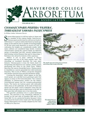 CHAMAECYPARIS PISIFERA ‘FILIFERA’, THREADLEAF SAWARA FALSECYPRESS by William Astifan, Arboretum Director