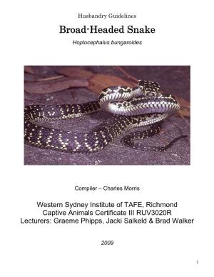 Broad-Headed Snake (Hoplocephalus Bungaroides)', Proceedings of the Royal Zoological Society of New South Wales (1946-7), Pp