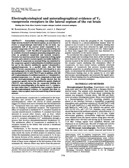 Electrophysiological and Autoradiographical Evidence of V, Vasopressin Receptors in the Lateral Septum of the Rat Brain