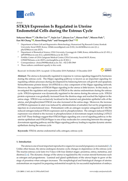 STK3/4 Expression Is Regulated in Uterine Endometrial Cells During the Estrous Cycle