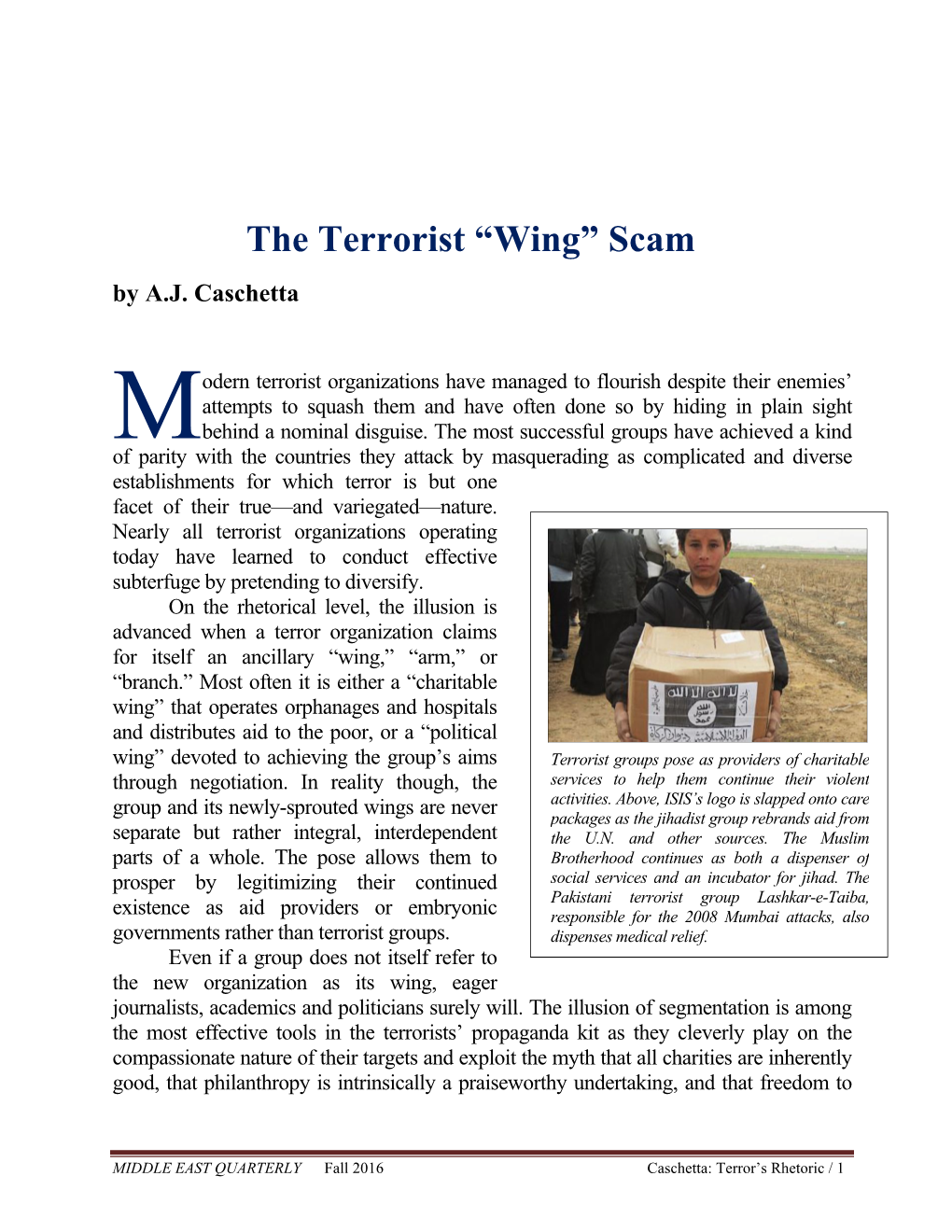 The Terrorist “Wing” Scam by A.J