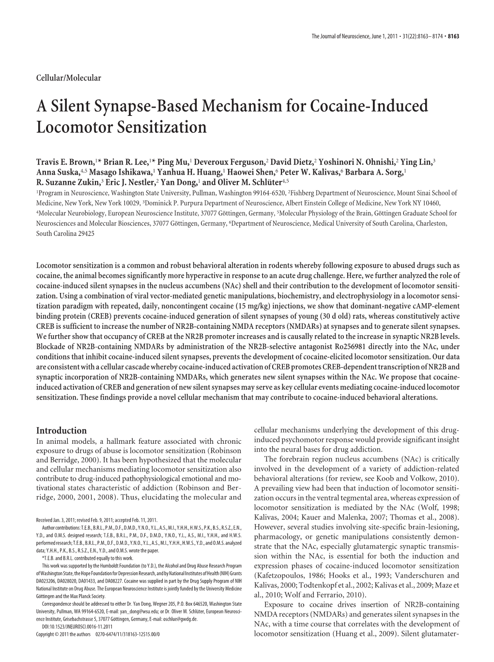 A Silent Synapse-Based Mechanism for Cocaine-Induced Locomotor Sensitization