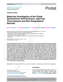 Molecular Investigation of the Ciliate Spirostomum Semivirescens, with First Transcriptome and New Geographical Records