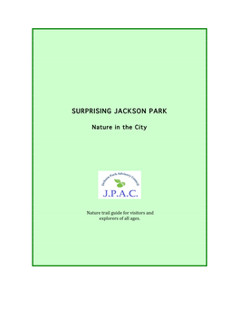 Surprising Jackson Park