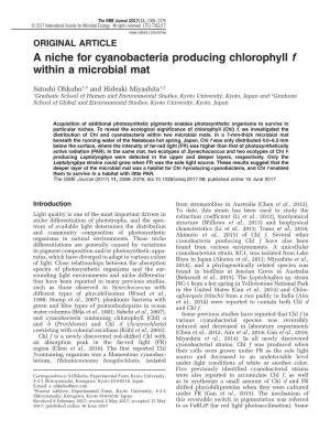 A Niche for Cyanobacteria Producing Chlorophyll F Within a Microbial Mat