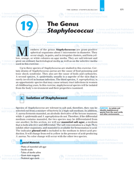 The Genus Staphylococcus 19 171