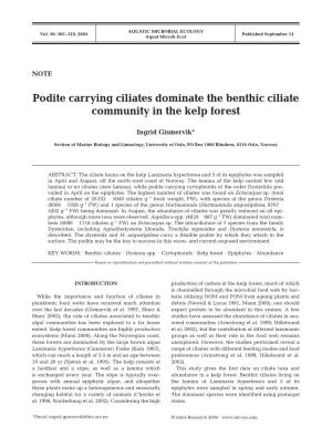Podite Carrying Ciliates Dominate the Benthic Ciliate Community in the Kelp Forest