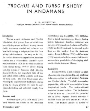 Trochus and Turbo Fishery in Andamans