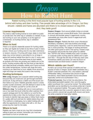 How to Rabbit Hunt Rabbit Hunting Is the Third Most Popular Type of Hunting Activity in the U.S., Behind Wild Turkey and Deer Hunting