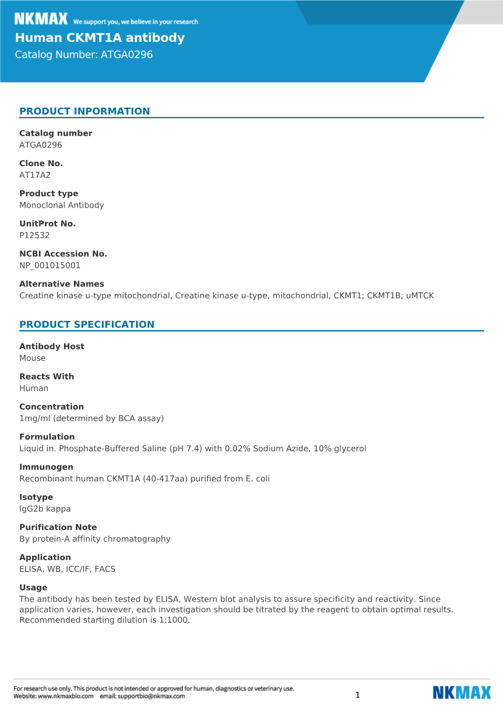 Human CKMT1A Antibody Catalog Number: ATGA0296