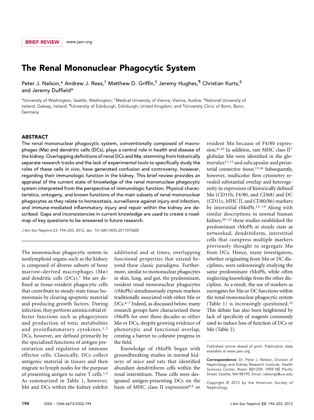 The Renal Mononuclear Phagocytic System